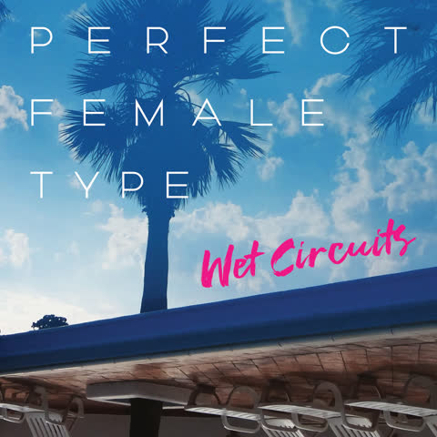 Perfect Female Type album art